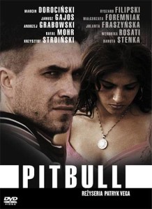 pitbull