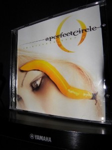 perfect circle thirteenth step