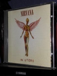 nirvana in utero