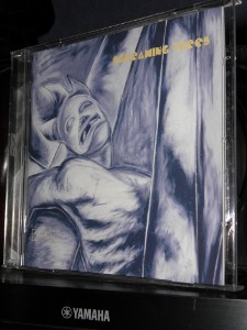 screaming trees dust