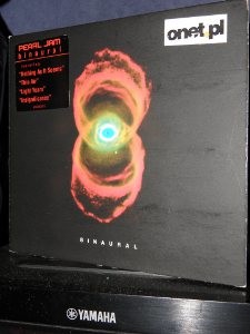 pearl jam binaural