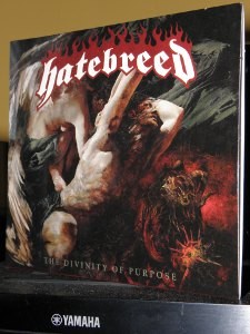 hatebreed divinity of purpose